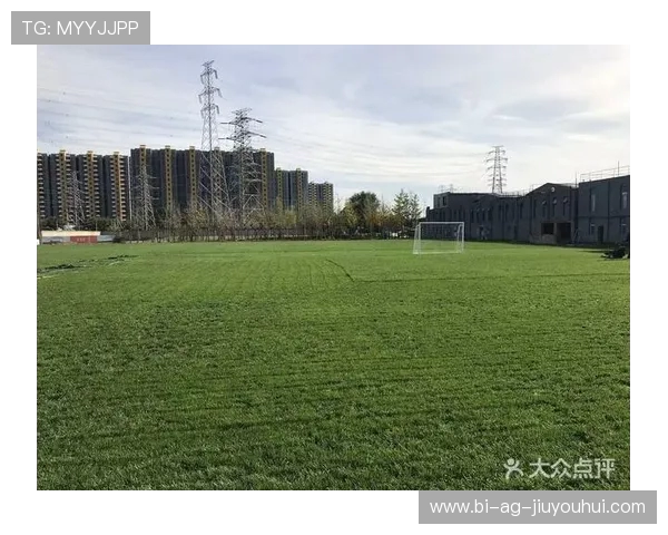 全面解析足球天然草场地年度养护成本构成与优化策略研究实践指南